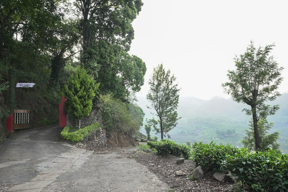 Фото Tea Valley Resort