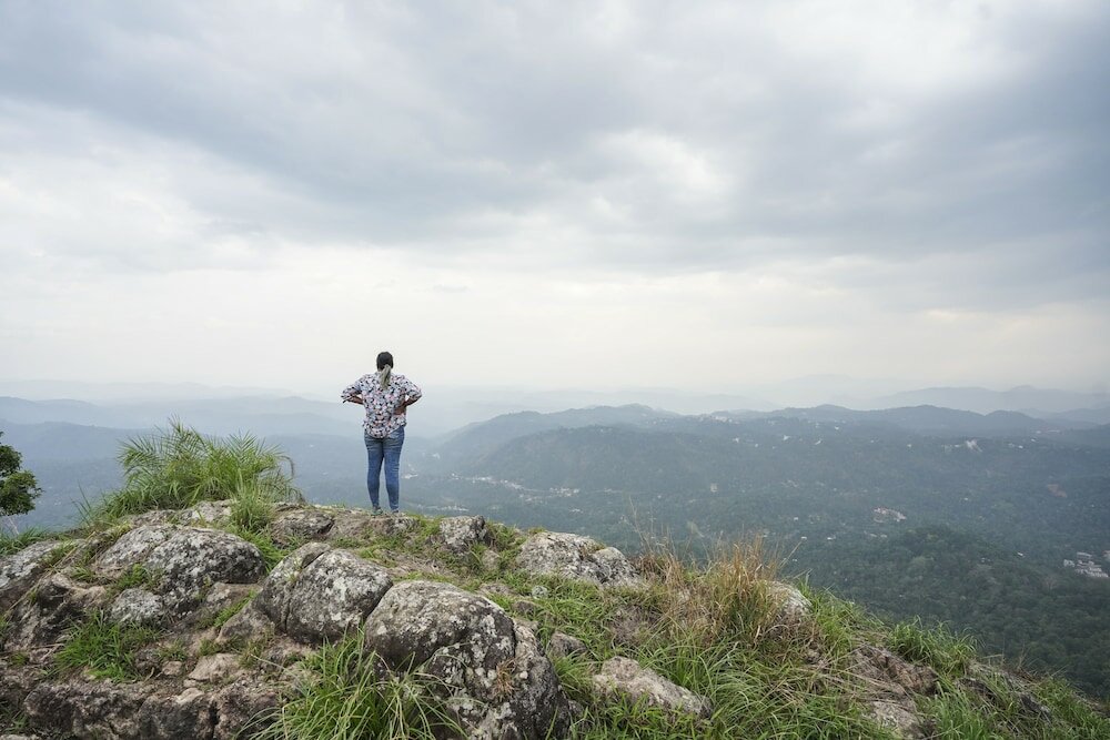 Фото Tea Valley Resort