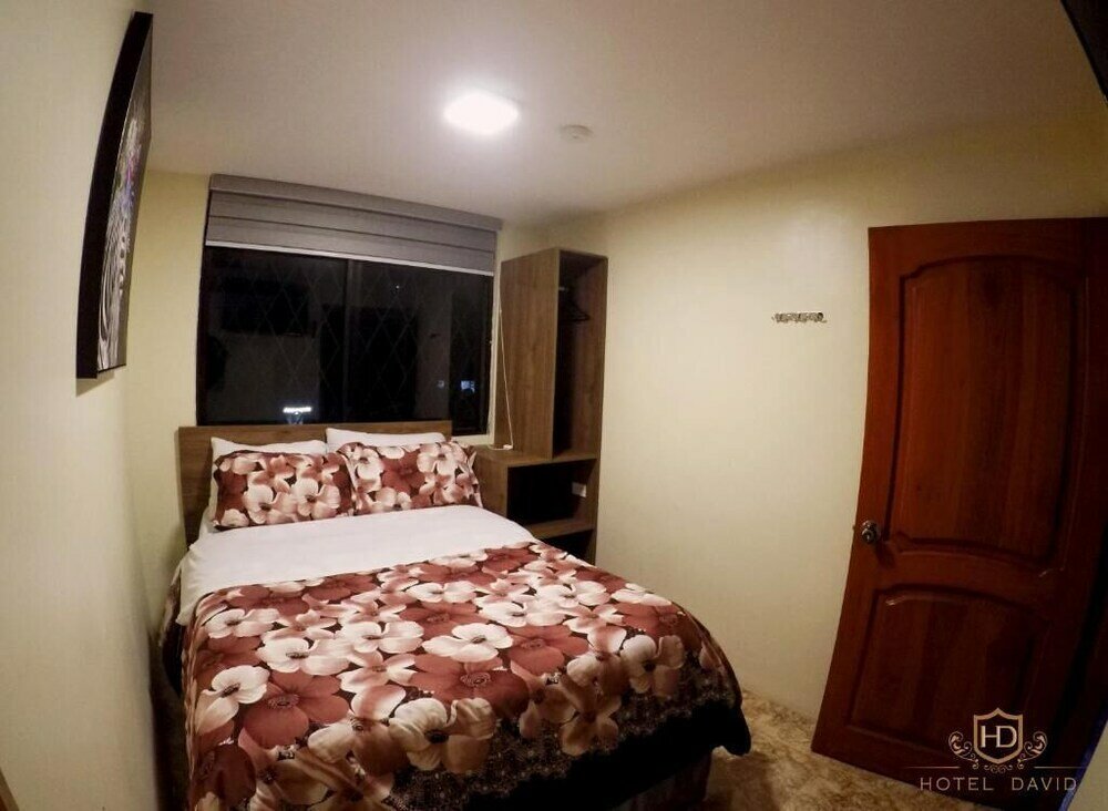 Фото Hotel David