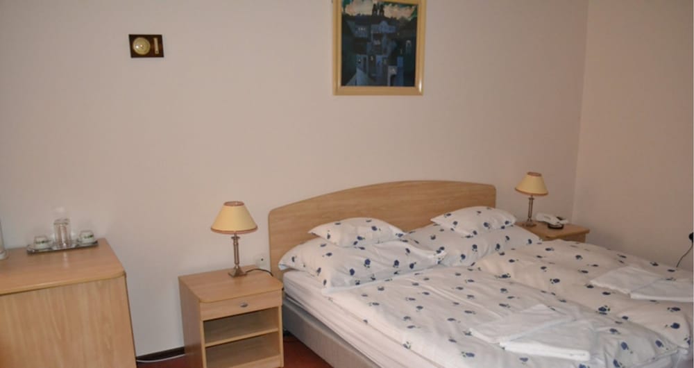 Фото Hotel Konferencia