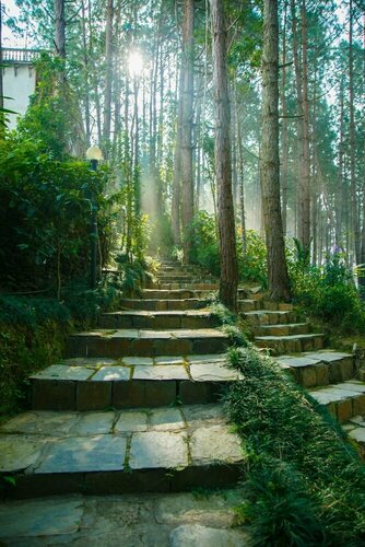 Гостиница Bandipur Mountain Resort