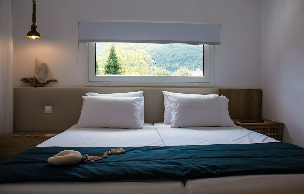 Фото Aristotelia Gi