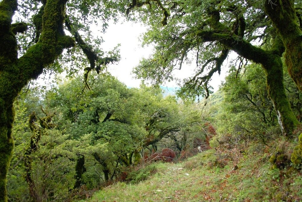 Фото Oreini Nafpaktia Houses