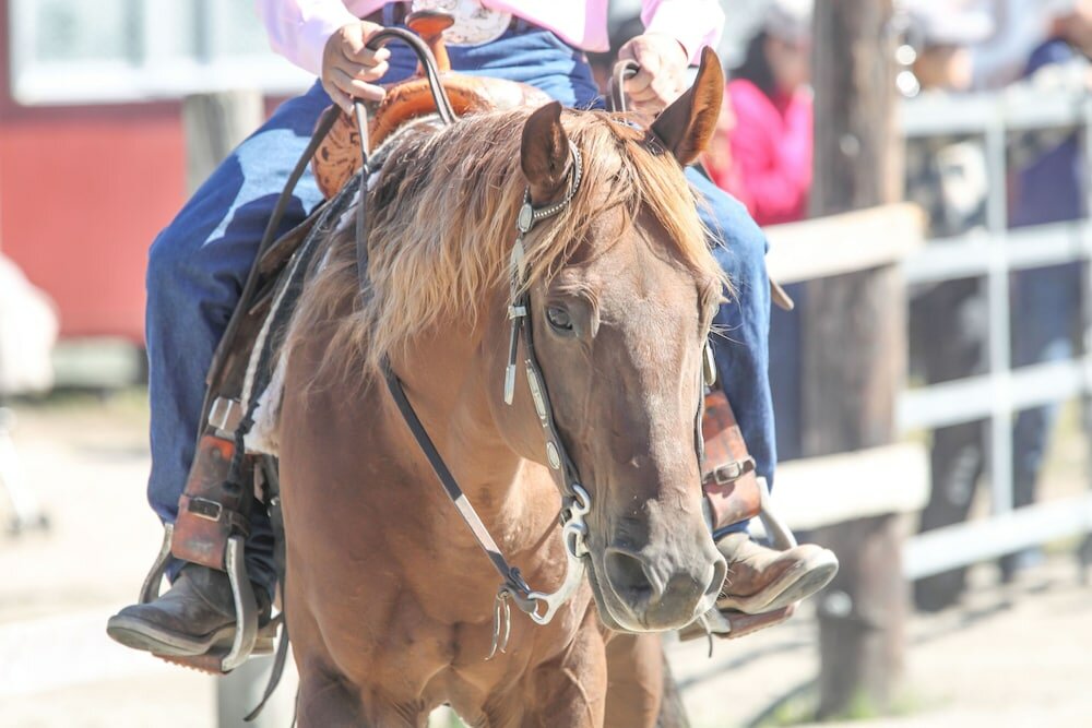 Фото New Fukujuso