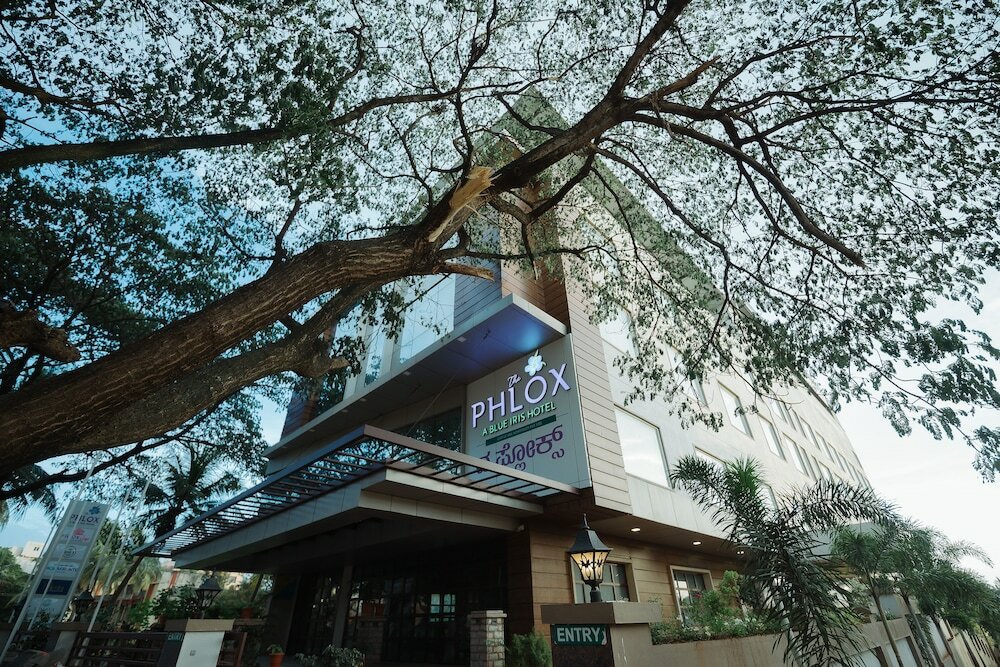 Фото The Phlox Hubballi