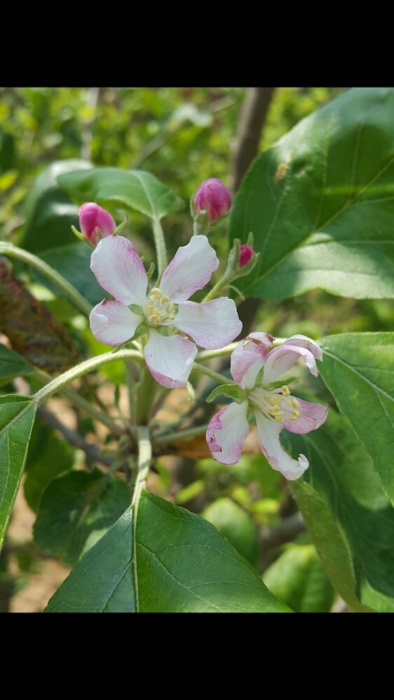 Фото Mount Tai Wu Cozy