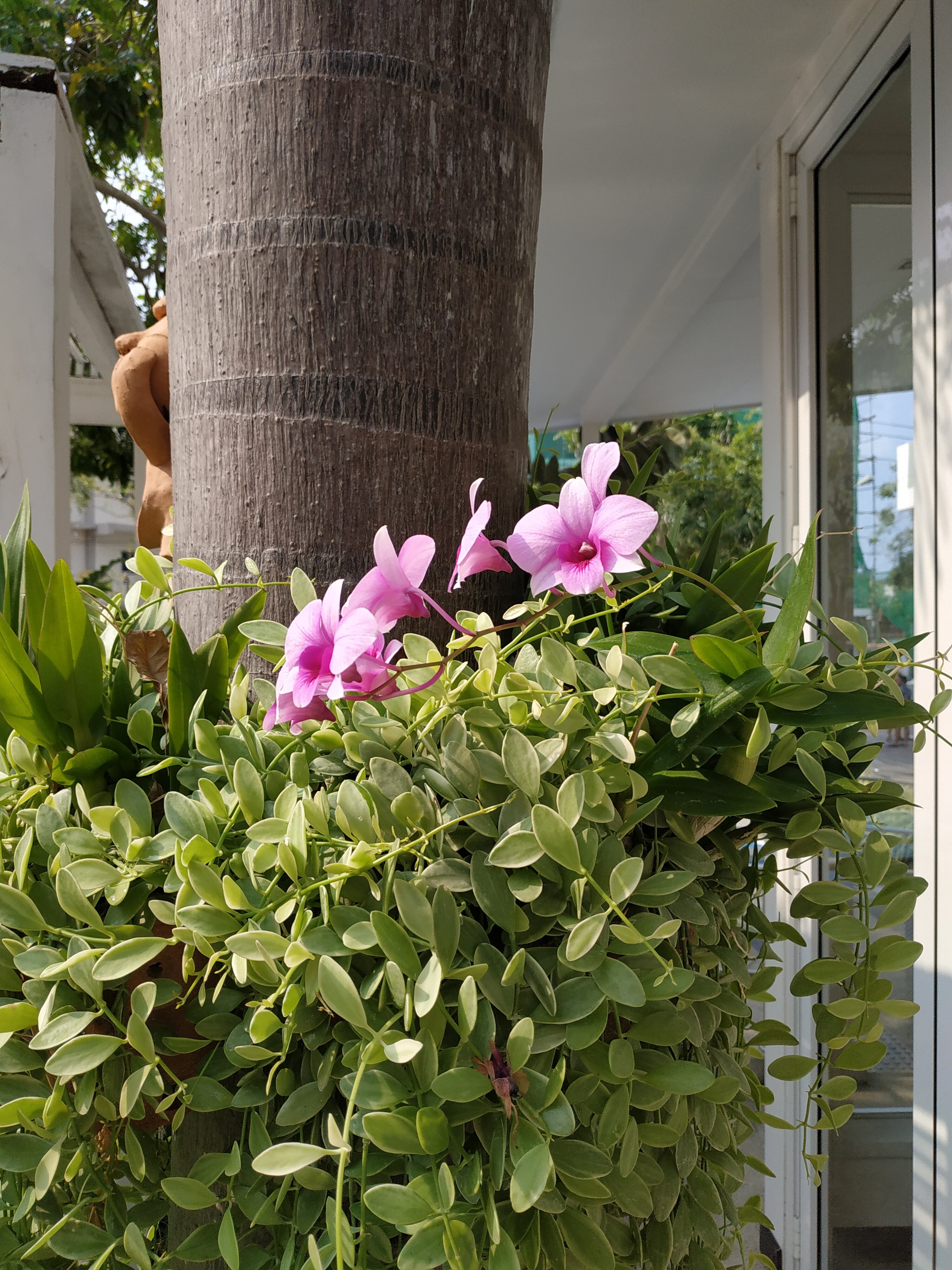 Фото Hill Fresco