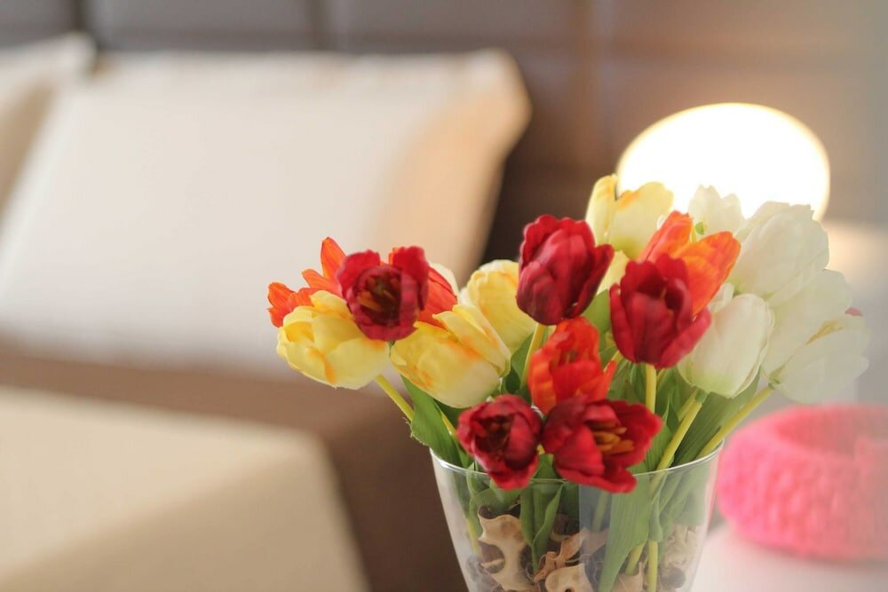 Фото DomusApuliae Holidays Home