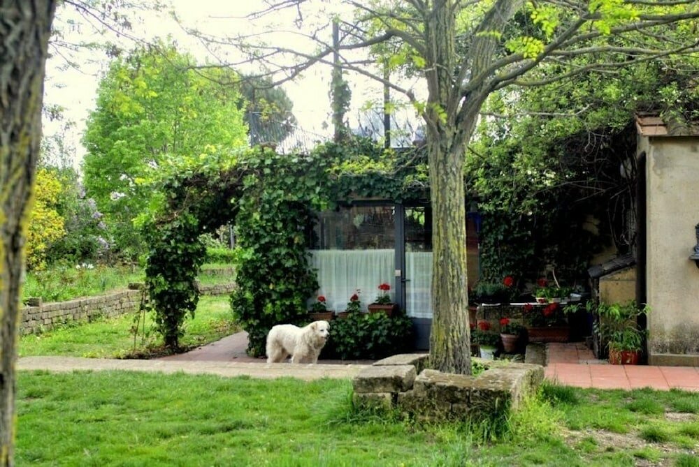 Фото Agriturismo Solidor