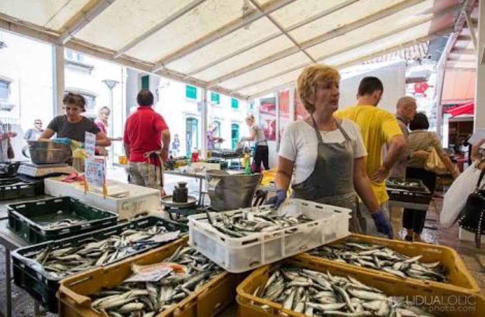 Фото Villa Minerva Gardens