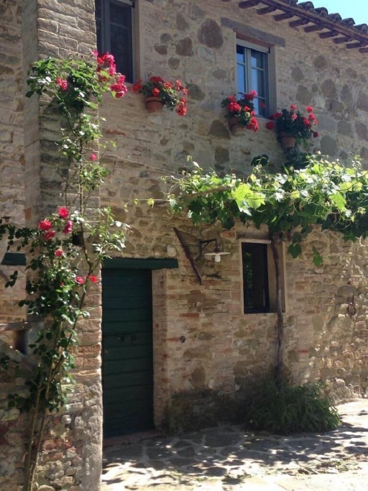 Фото Agriturismo Pian del Tevere