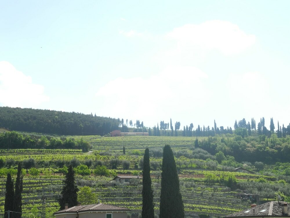 Фото B&b Mimosa e Lillà