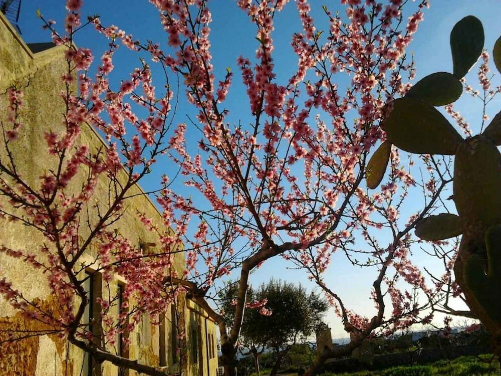 Фото Antica Masseria Ficazzana