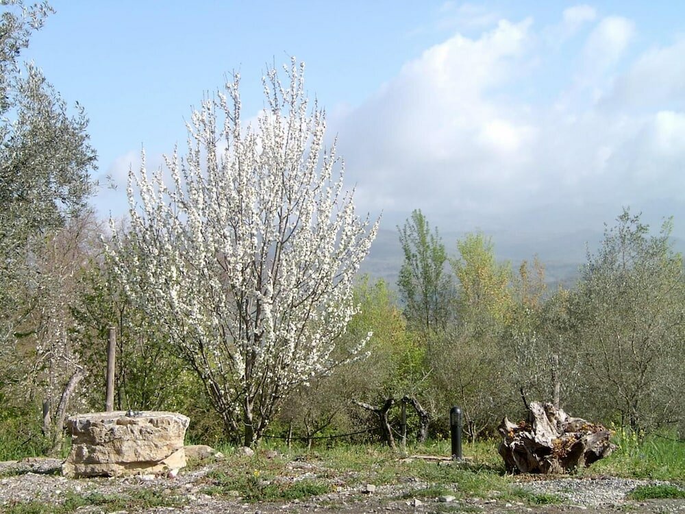 Фото Agriturismo le Cammarose