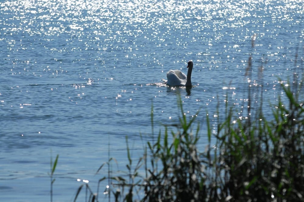 Фото Mein Inselglück