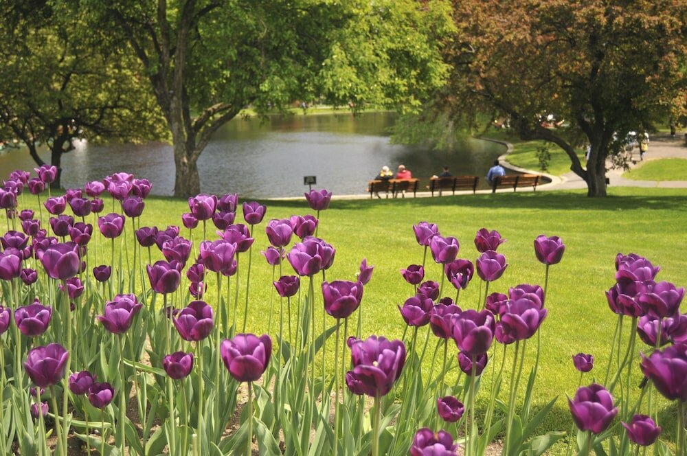 Фото Mandarin Oriental Boston