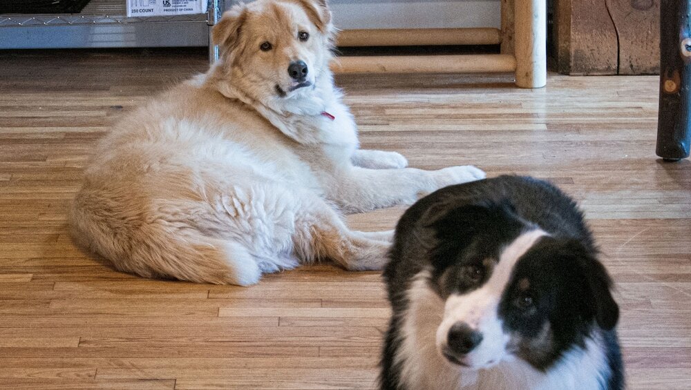 Фото North Creek Lodge at Gore Mountain