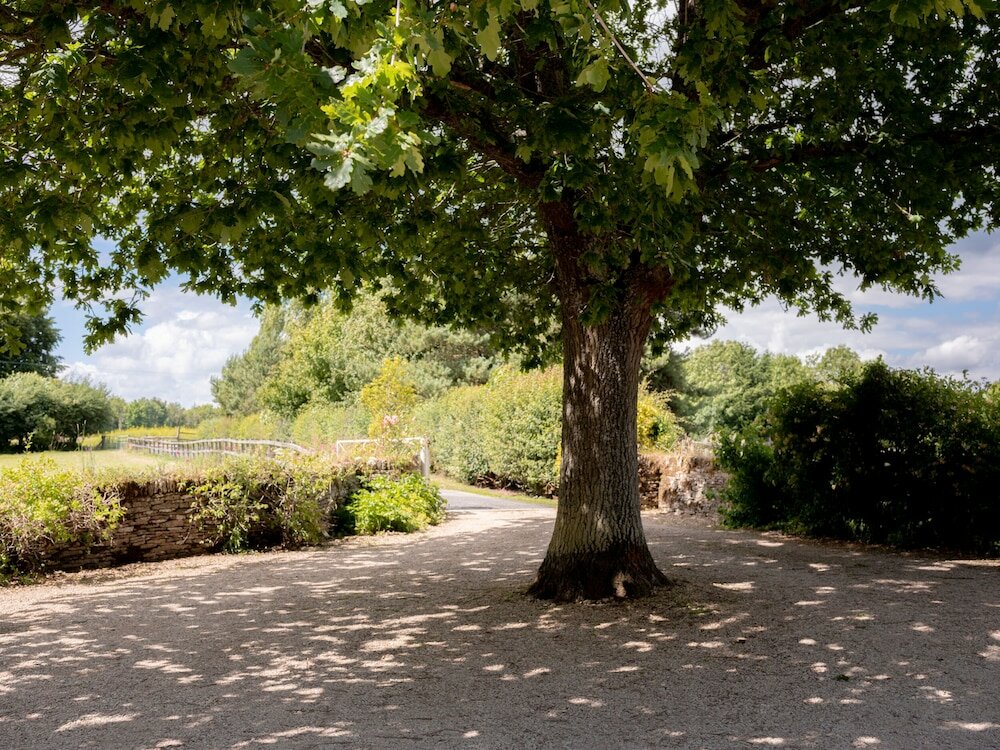 Фото Montreal House