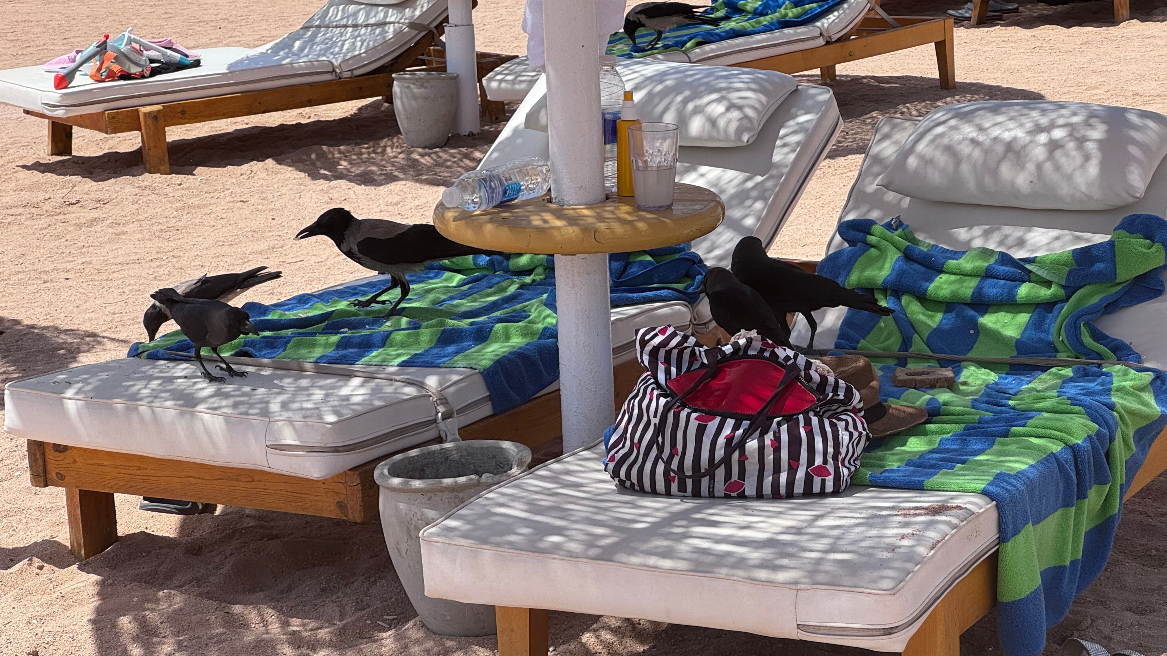 Фото Baron Palms Resort Sharm El Sheikh