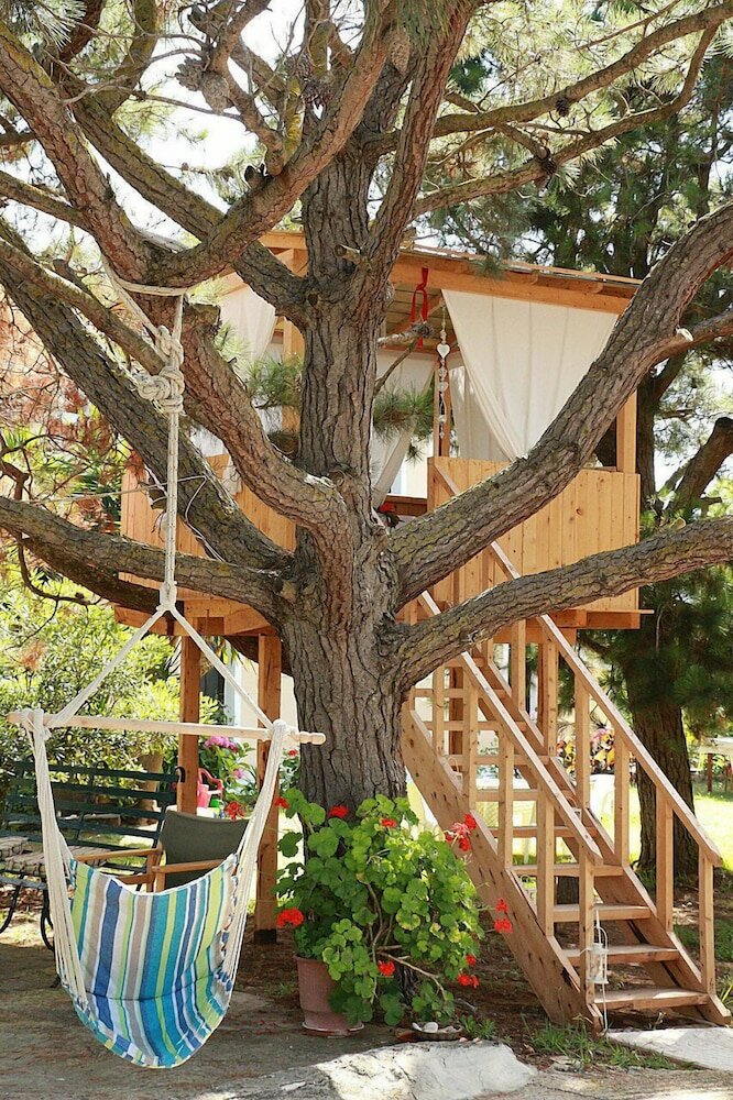 Фото Gongis Studios