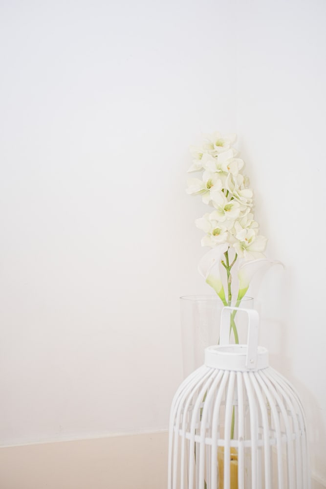 Фото Liiiving in Porto Light Spacious Apartment