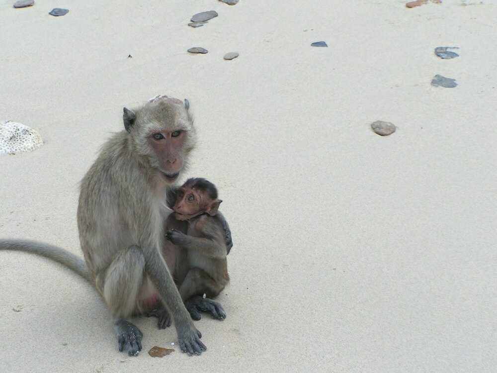 Фото Long Beach Inn