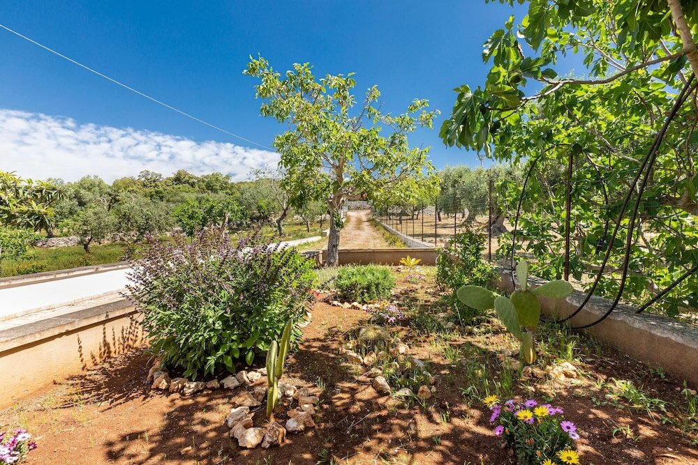 Фото 2421 Il Pagghiere by Perle di Puglia