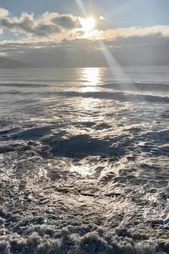 Фото The Shack Inn