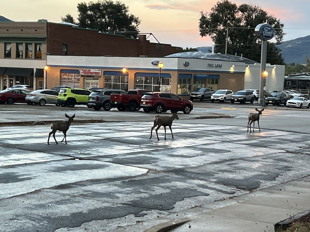 Фото The Hearts Desire B & B