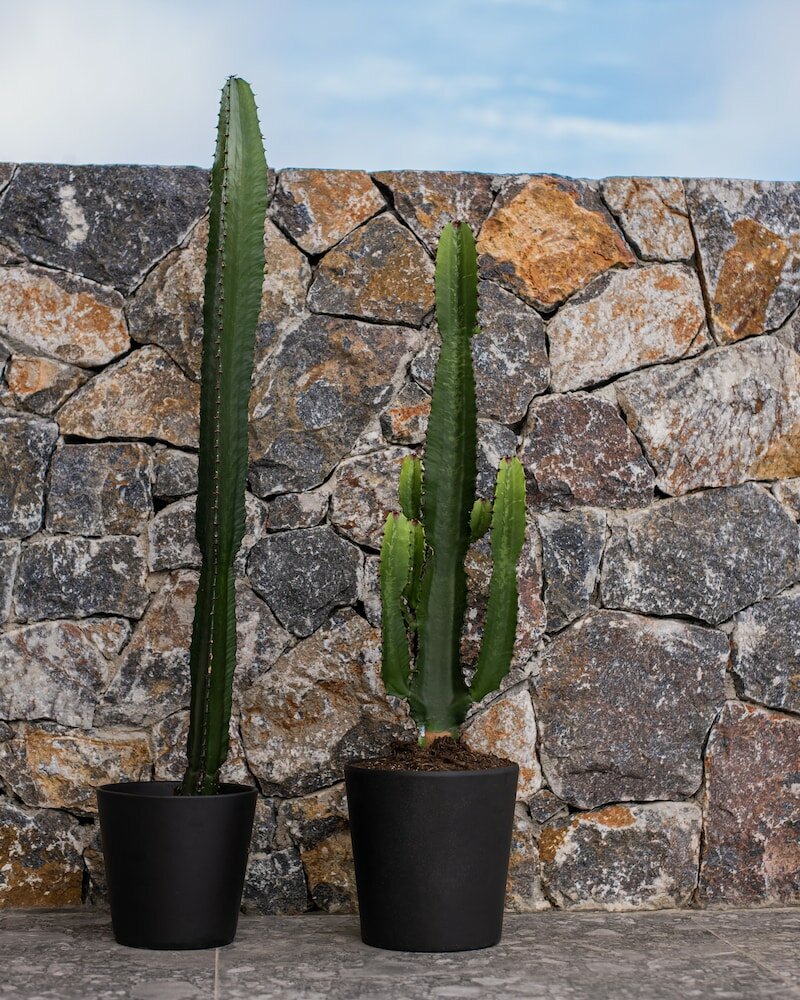 Фото Kaktus Suites Private Pool