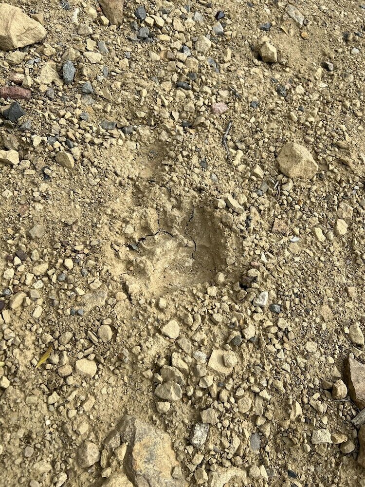 Фото The Hearts Desire B & B