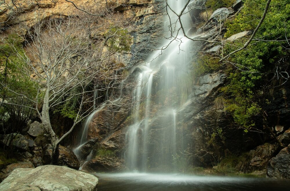 Фото Отель Villa Flora