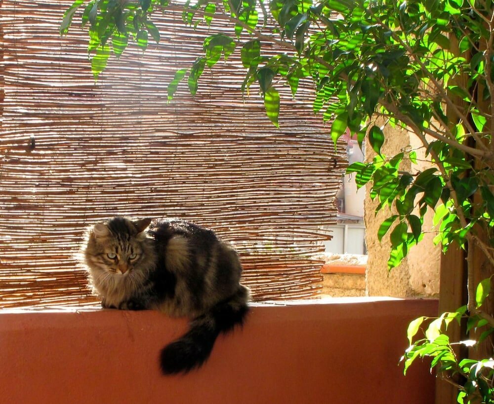 Фото Hostal B&b Poblenou