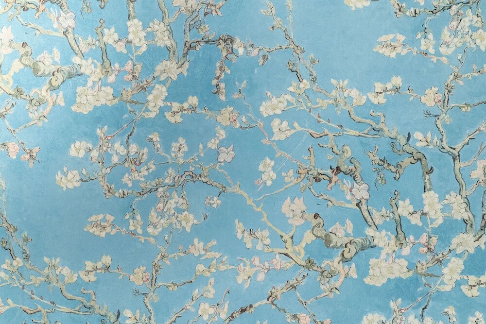 Фото Vila Fuji Bon Voyage Mori