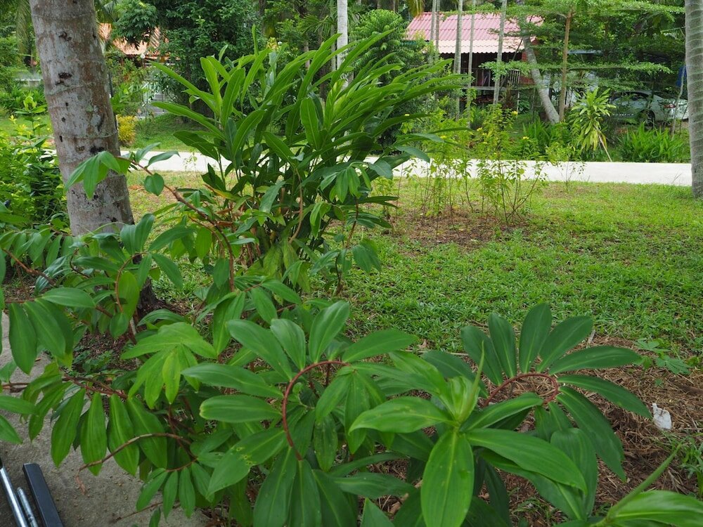 Фото Pru Valley Thaley Tai Resort