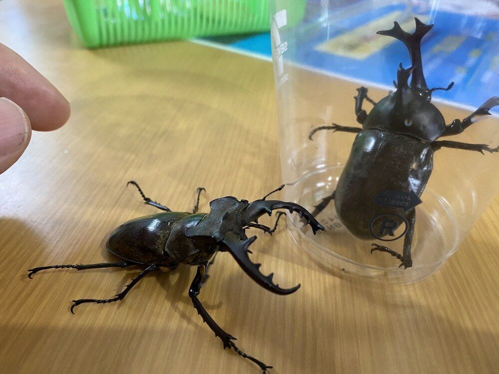 Фото Riverside Hostel B&b – Hostel