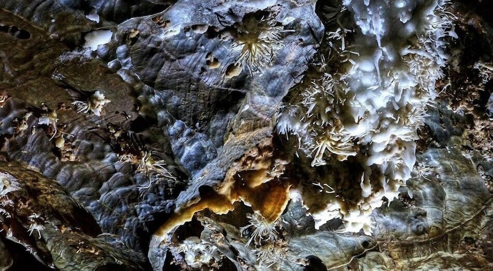 Фото András pension