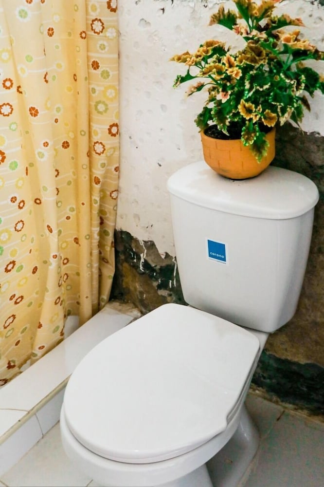 Фото Green Door San Gil Casa colonial