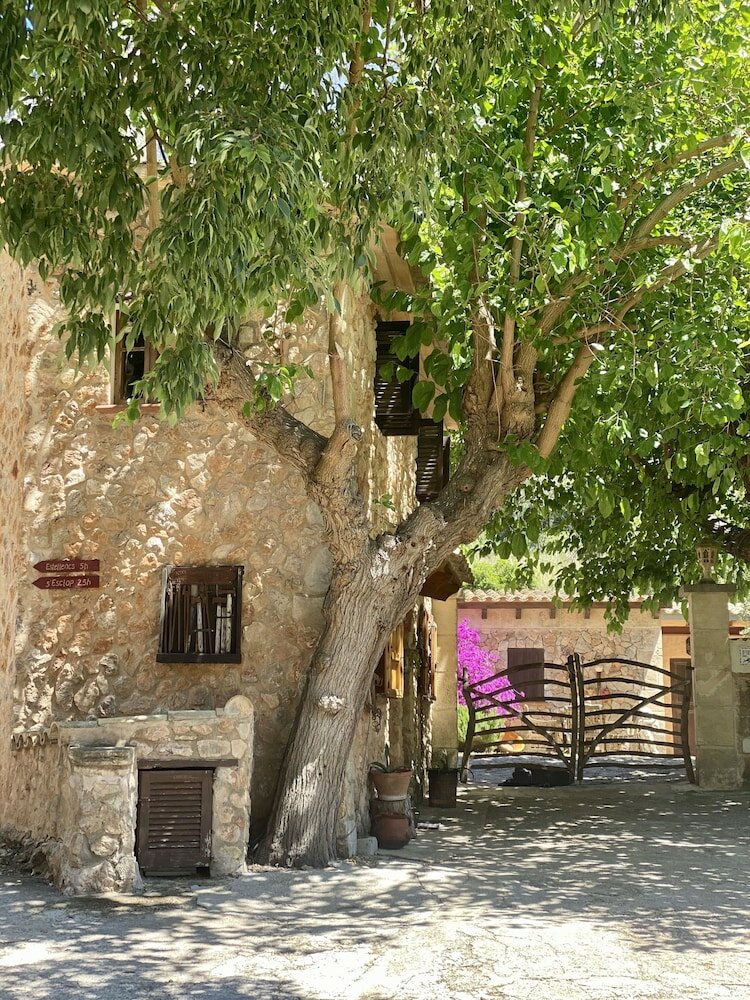 Фото Finca Ses Fontanelles