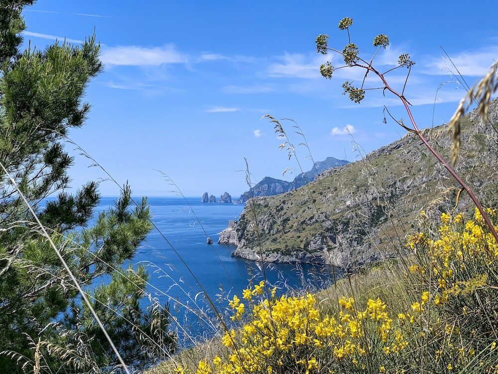 Фото Tenuta Novecento Bio Agriturismo