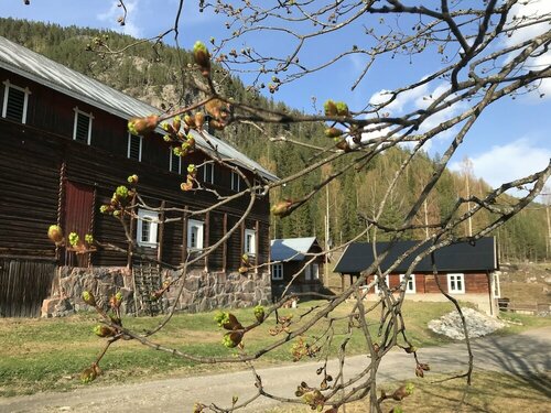 Гостиница Piltingsrud gardshotel в Йевике