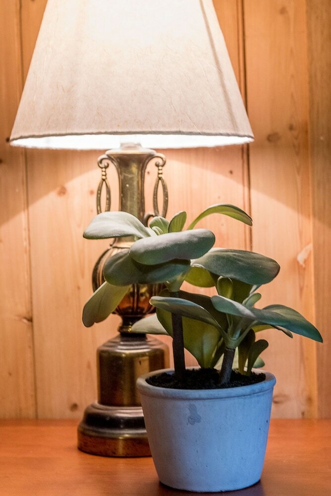 Фото Avalon House