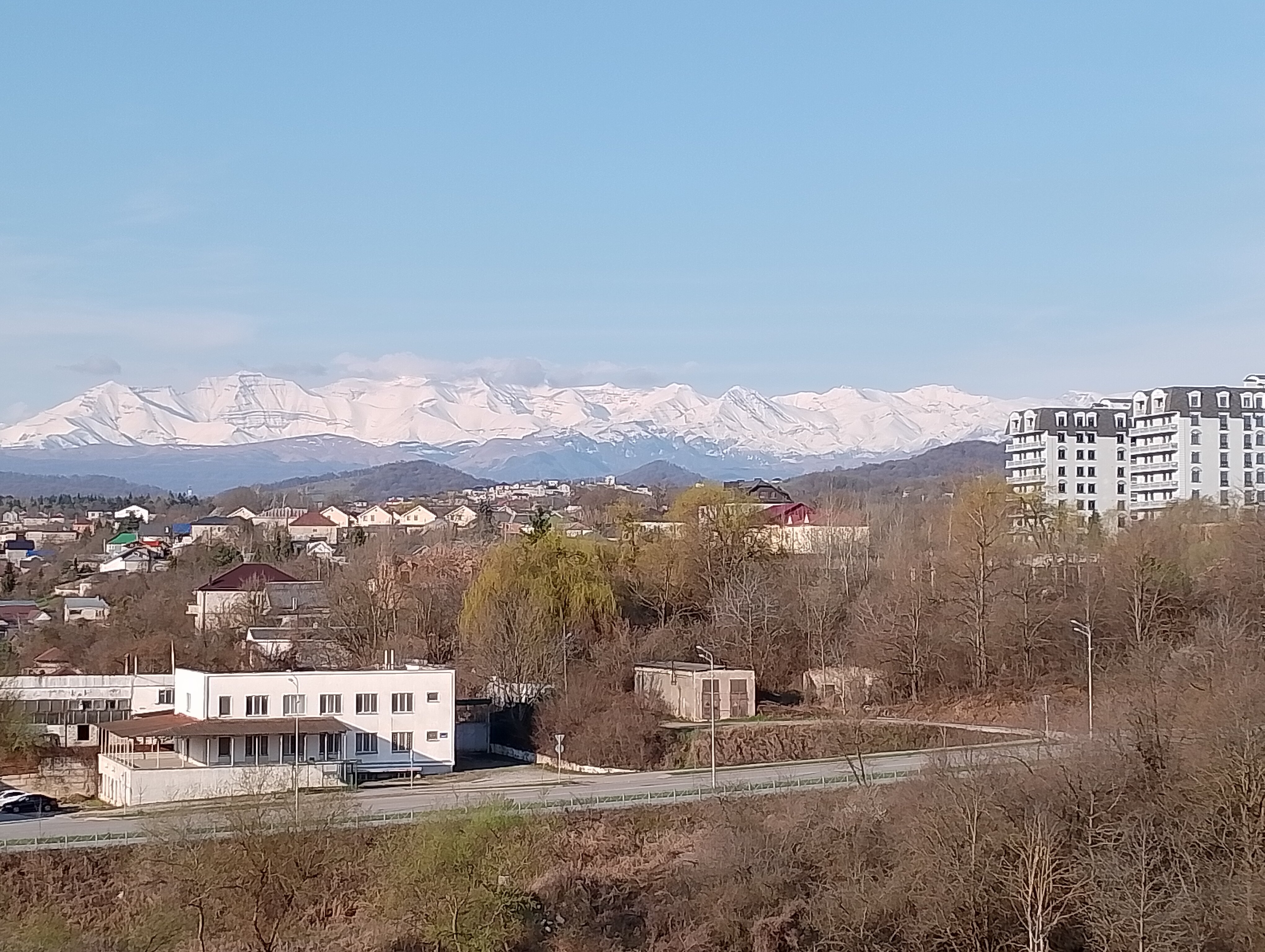 Фото Синдика