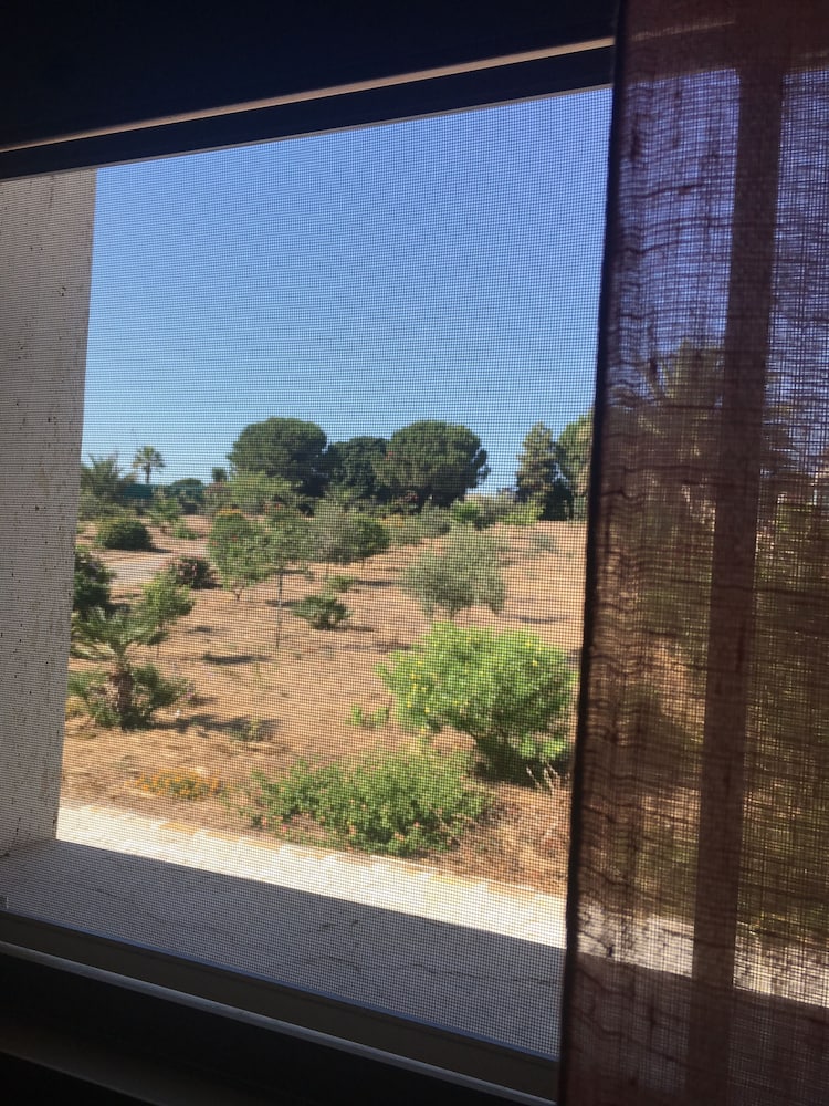 Фото Mediterraneo