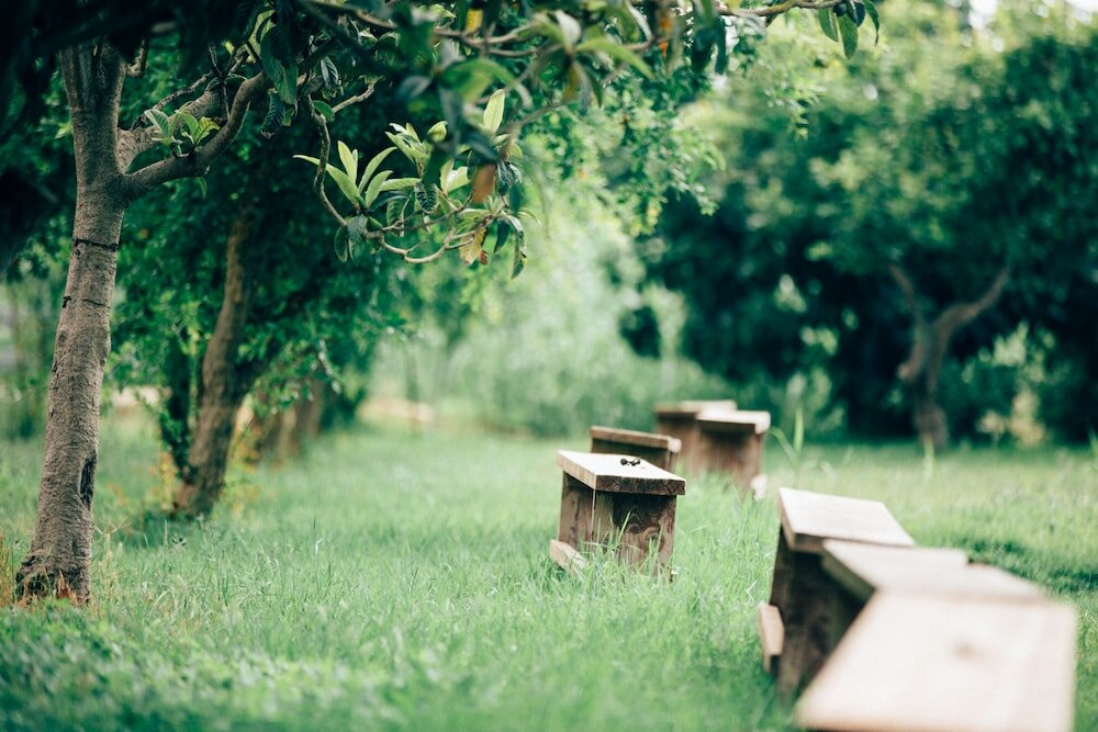 Фото Su Leunaxiu