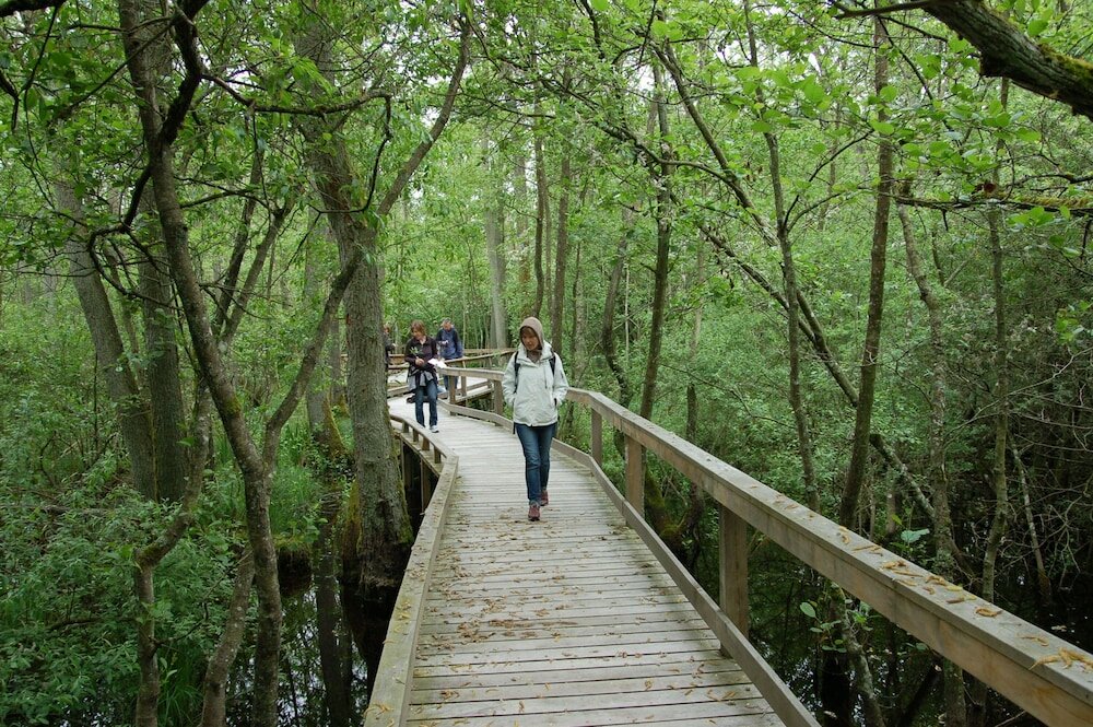 Фото Annas Hotell