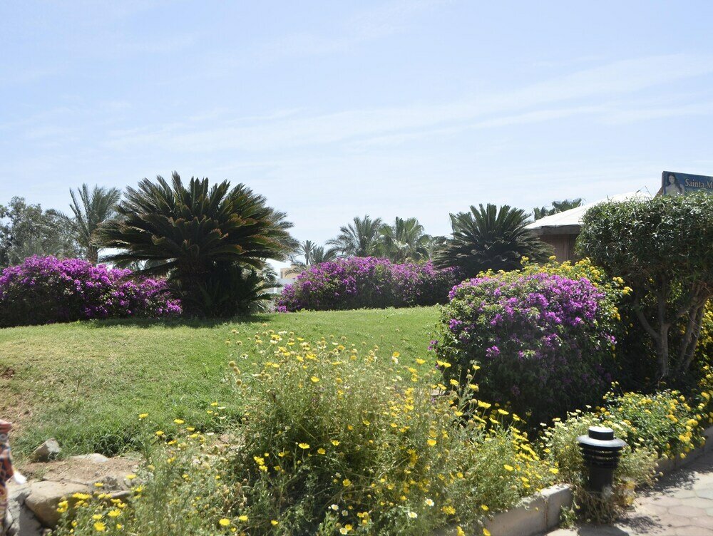 Фото Куин Шарм Резорт Вью