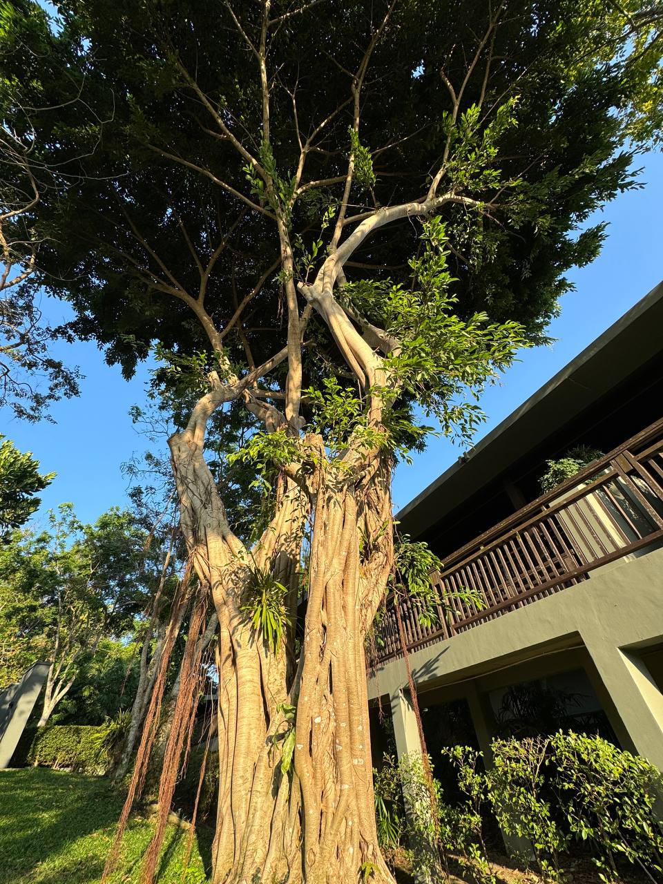 Фото Pullman Phuket Arcadia Naithon Beach