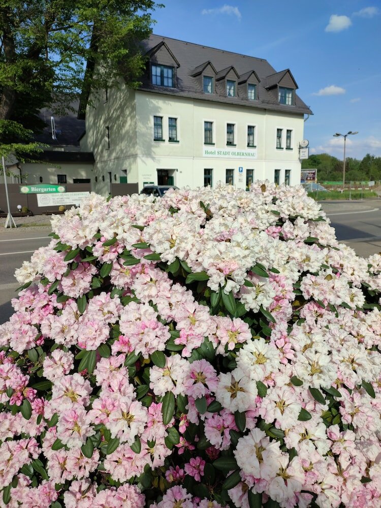 Фото Hotel Stadt Olbernhau