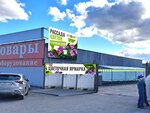 Русское Поле (Cherkesskoye shosse, 1Б) ، مركز الحديقة